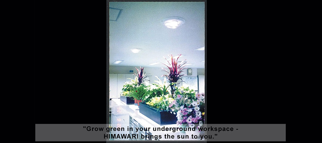 Indoor farming with Himawari solar natural daylight system in basement
