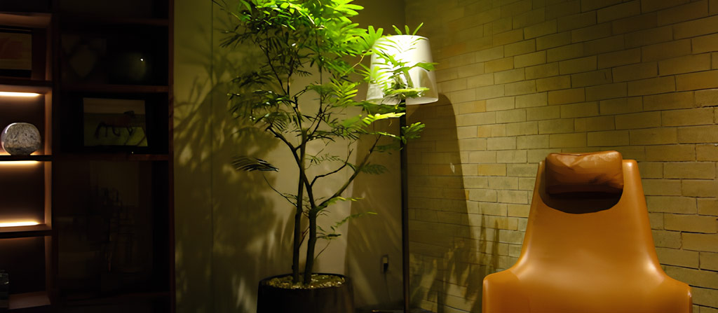 Himawari natural daylight system delivering real sunlight indoors without architectural changes